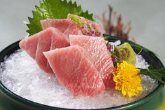 Nama Honmaguro Otoro